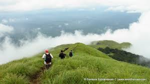 Trekking at Chembra Peak