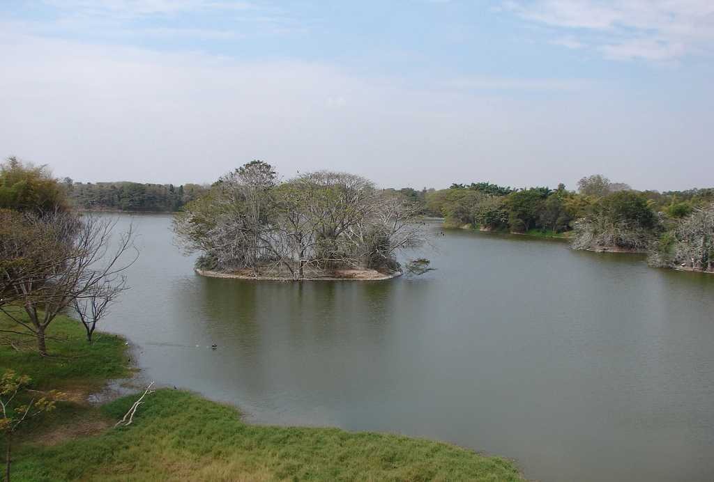 Bird Watching at Karanji Lake