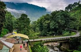 Nature Around Lakkam Falls