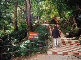 Trekking to Lakkam Falls