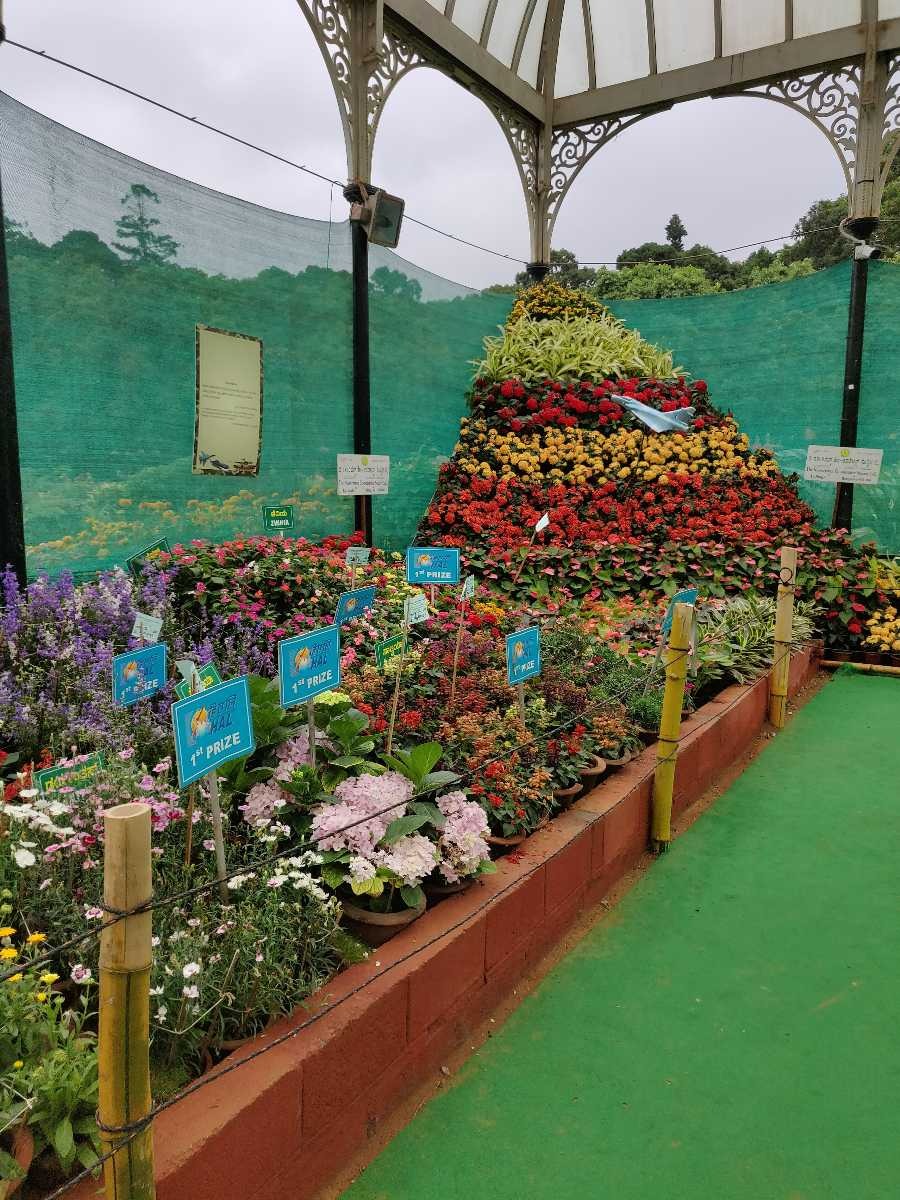 Flower Show at Lalbagh