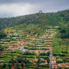 Trekking in Marayoor