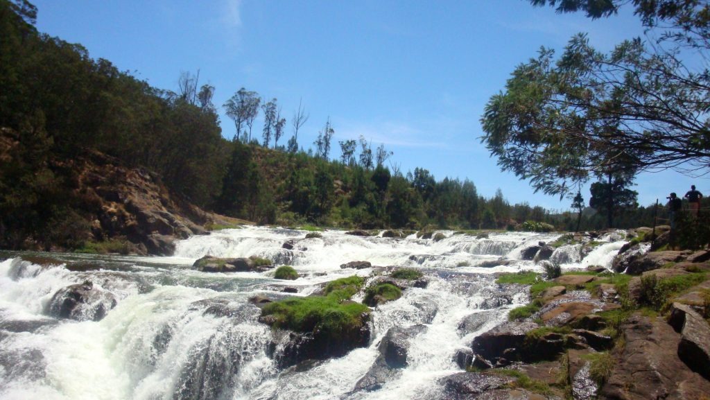 Ooty Landscape