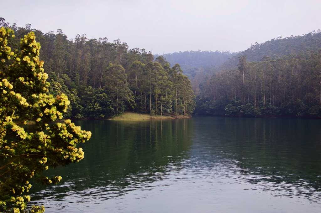 Ooty Lake