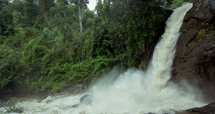 Soochipara Waterfall