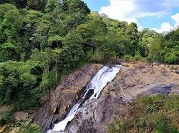 Nature Around Soochipara Falls